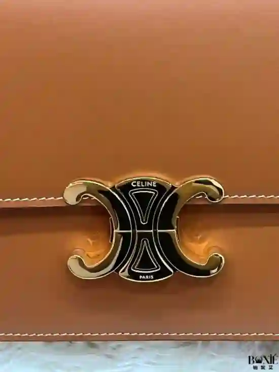 187363 - CELINE Classique Triomphe Bag - Image 2