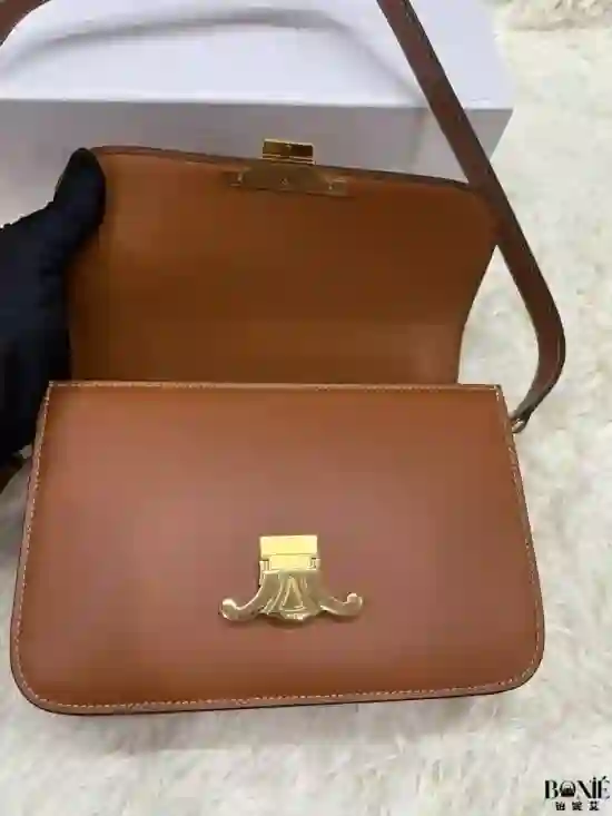 187363 - CELINE Classique Triomphe Bag - Image 6