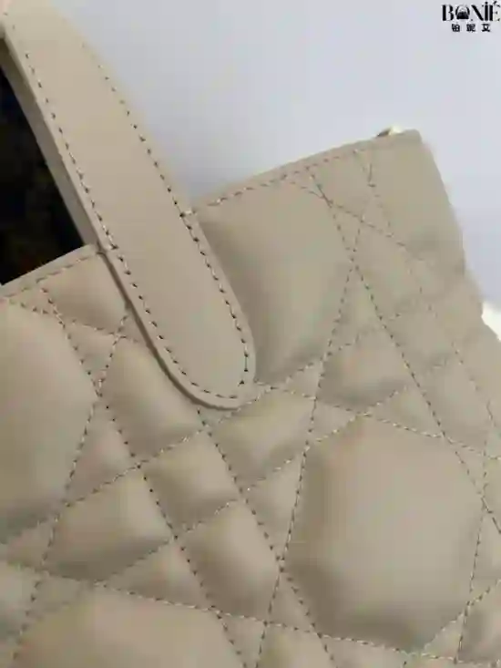 3151 (奶油杏) - Dior Toujours竖版系列中号 - Image 5
