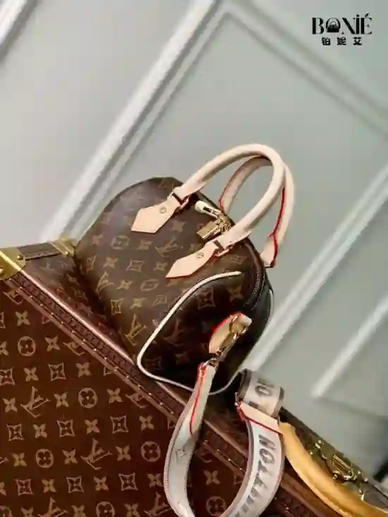 M46222 (M46234) - 新版Speedy Bandoulière 20 - Image 3