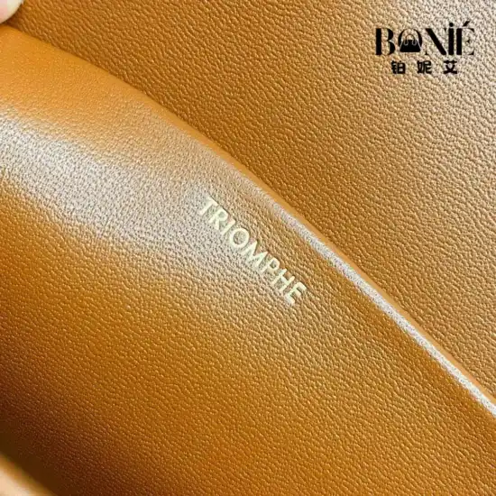 194142 - CELINE Triomphe Canvas Bag - Image 8