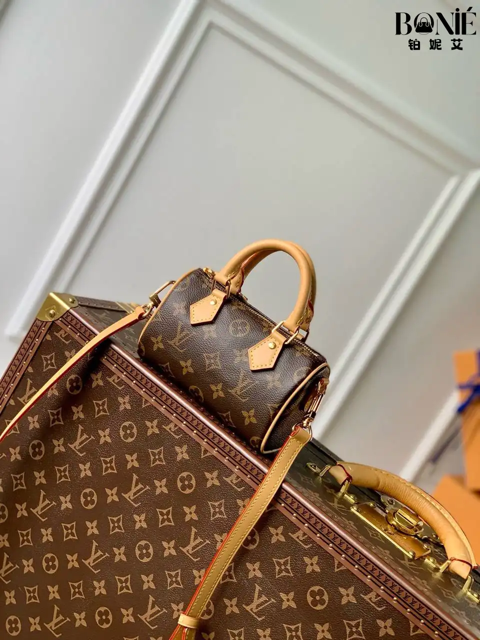 M81085 - Louis Vuiiton 新版 NANO SPEEDY 手袋